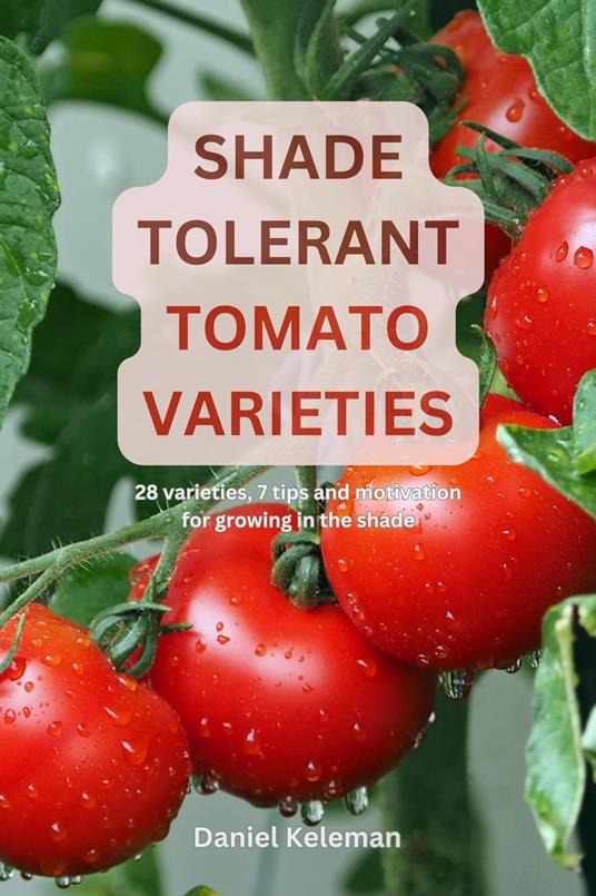Shade Tolerant Tomato Varieties: 28 varieties, 7 tips and motivation for growing in the shade