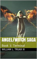 Angel/Witch Saga Book 3: Terminal