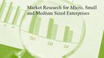 Market Research for Micro, Small and Medium Sized Enterprises