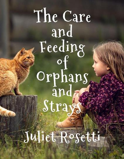 The Care & Feeding of Orphans and Strays