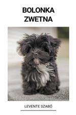 Bolonka Zwetna