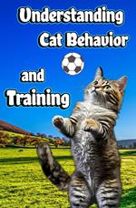 Understanding Cat Behavior and Training