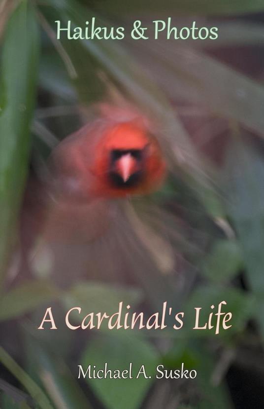 Haikus and Photos: A Cardinal's Life