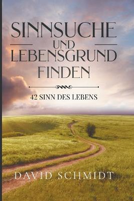 Sinnsuche Und Lebensgrund Finden: 42 Sinn Des Lebens - David Schmidt - cover