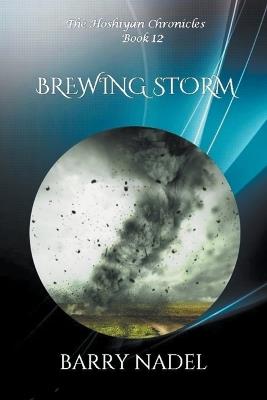 Brewing Storm - Barry Nadel - cover