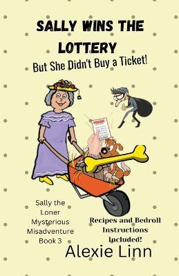 Sally Wins the Lottery -- But She Didn't Buy the Ticket - Alexie Linn - cover