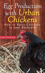 Egg Production with Urban Chickens - How to Raise Chickens in Your Backyard