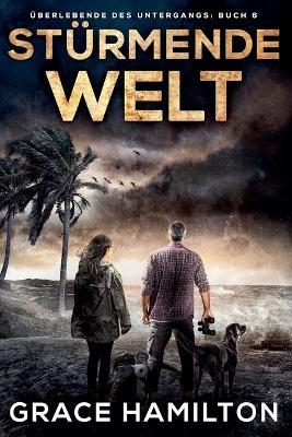 Stürmende Welt - Grace Hamilton - cover