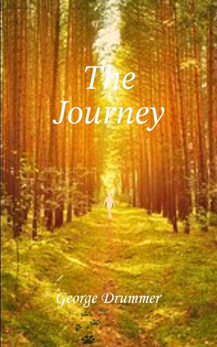 The Journey - George Drummer - ebook