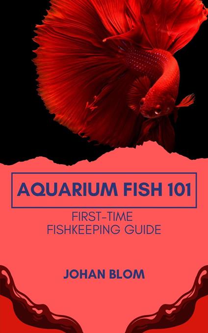 Aquarium Fish 101: First-Time Fishkeeping Guide