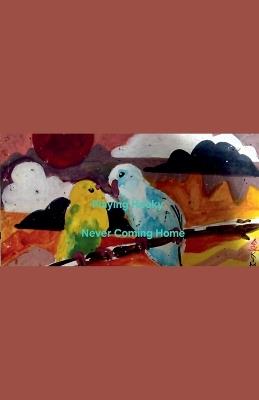 Playing Hooky: Never Coming Home - Serene Song - cover
