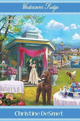 Undercover Fudge - Christine Desmet - cover