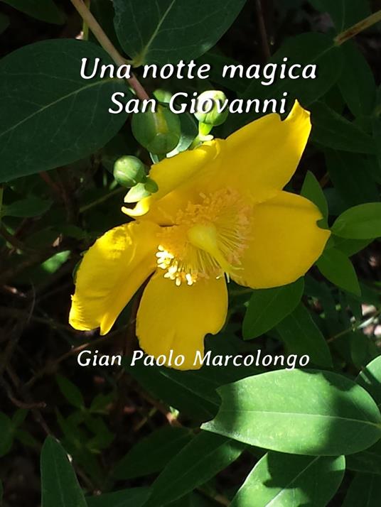 Una notte magica San Giovanni - Gian Paolo Marcolongo - ebook