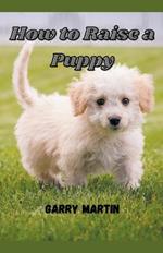 How to Raise a Puppy