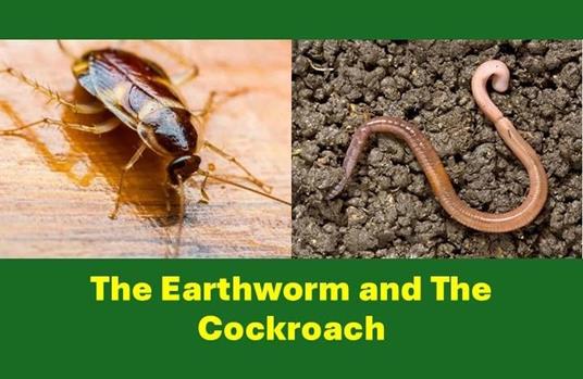 The Earthworm and The Cockroach