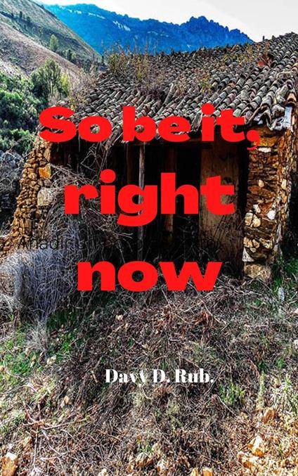 So be it, right now - Davy D. Rub. - ebook