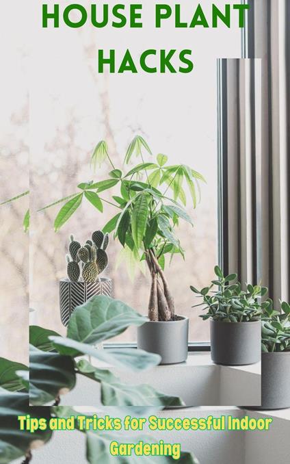 House Plant Hacks : Tips and Tricks for Successful Indoor Gardening