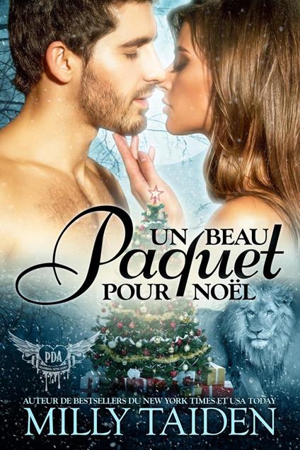Un Beau Paquet Pour Noël