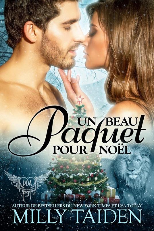 Un Beau Paquet Pour Noël