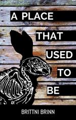 A Place That Used to Be
