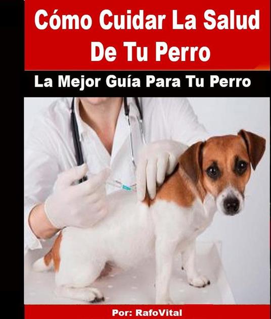 Cómo Cuidar La Salud De Tu Perro