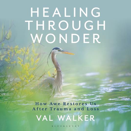Healing Through Wonder