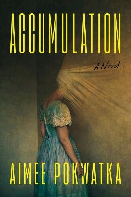 Accumulation - Aimee Pokwatka - cover