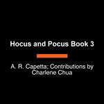 Hocus and Pocus and the Snow Day Sorcery
