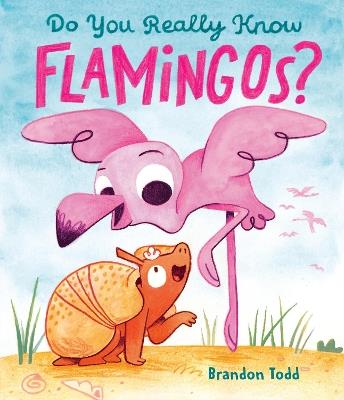 Do You Really Know Flamingos? - Brandon Todd - cover