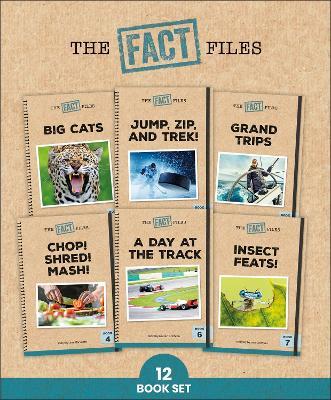 Phonic Books The Fact Files 2: Consonant blends and digraphs, and alternative spellings for vowel sounds - Phonic Books - cover