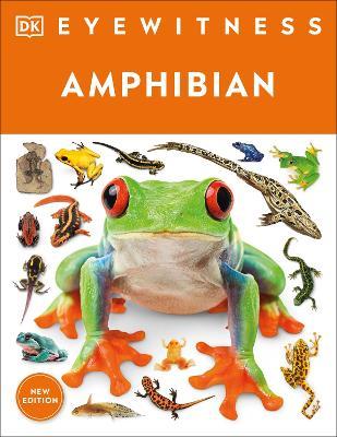 Eyewitness Amphibian - DK - cover