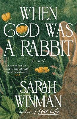 When God Was a Rabbit - Sarah Winman - cover