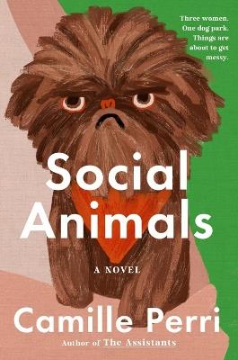 Social Animals - Camille Perri - cover