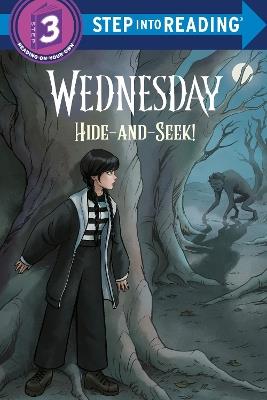 Hide and Seek! (Wednesday) - Christy Webster,Random House - cover