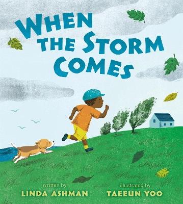 When the Storm Comes - Linda Ashman - cover