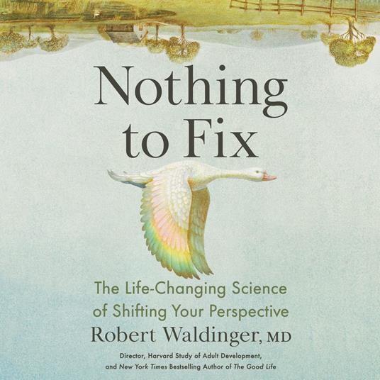 Nothing to Fix