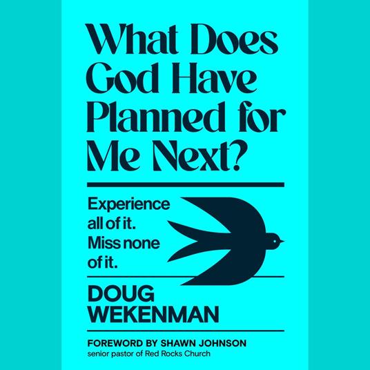 What Does God Have Planned for Me Next?