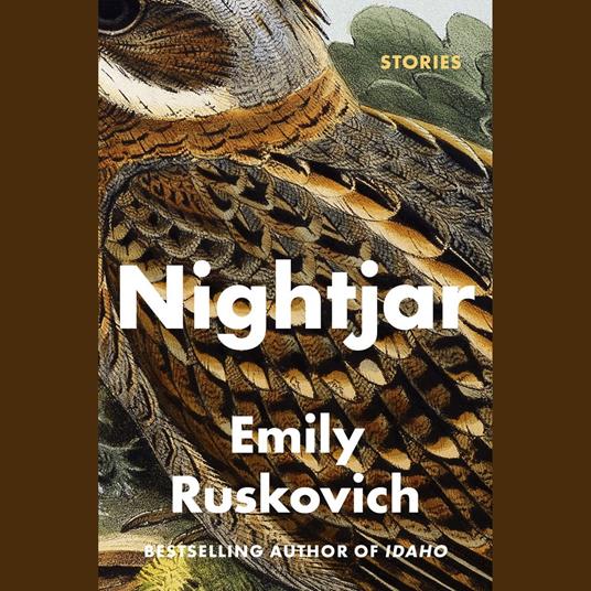 Nightjar