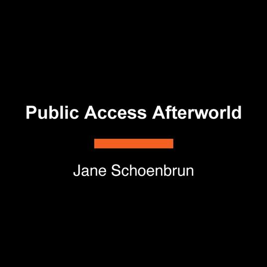 Public Access Afterworld