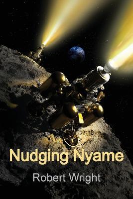 Nudging Nyame - Robert Wright - cover