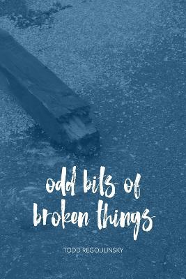 Odd Bits Of Broken Things - Todd Regoulinsky - cover
