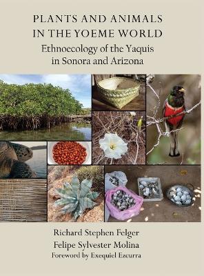 Plants and Animals in the Yoeme World: Ethnoecology of the Yaquis in Sonora and Arizona - Richard S Felger,Felipe S Molina - cover
