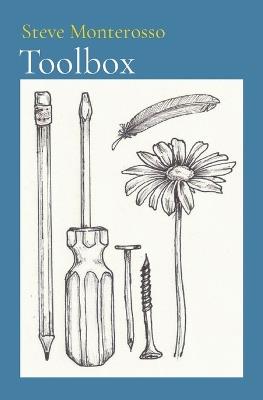 Toolbox - Steve Monterosso - cover