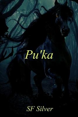 Pu'ka - Sf Silver - cover