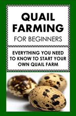 Quail Farming For Beginners: Everything You Need To Know To Start Your Own Quail Farm