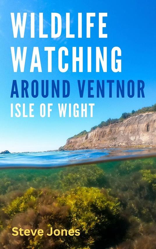 Wildlife Watching Around Ventnor, Isle of Wight