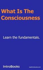 What is the Consciousness
