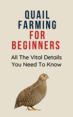 Quail Farming for Beginners: All The Vital Details You Must Know