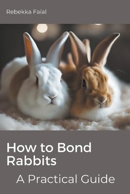 How to Bond Rabbits: A Practical Guide - Rebekka Faial - cover