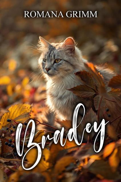 Bradey